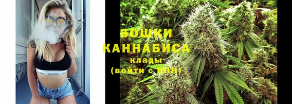гидра Алексеевка