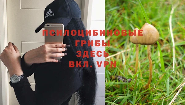 гидра Алексеевка